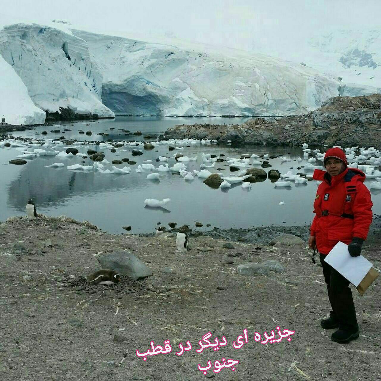 خاطرات سومین زن ایرانی از سفر به قطب جنوب/ از تکانهای شدید کشتی تا بازار چینی ها که در قطب هم گرم بود