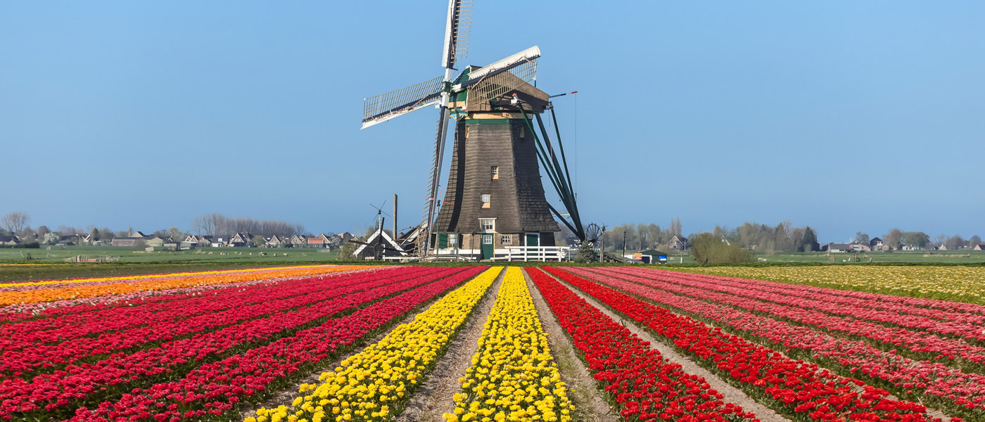 راز موفقیت کشور هلند در چیست؟