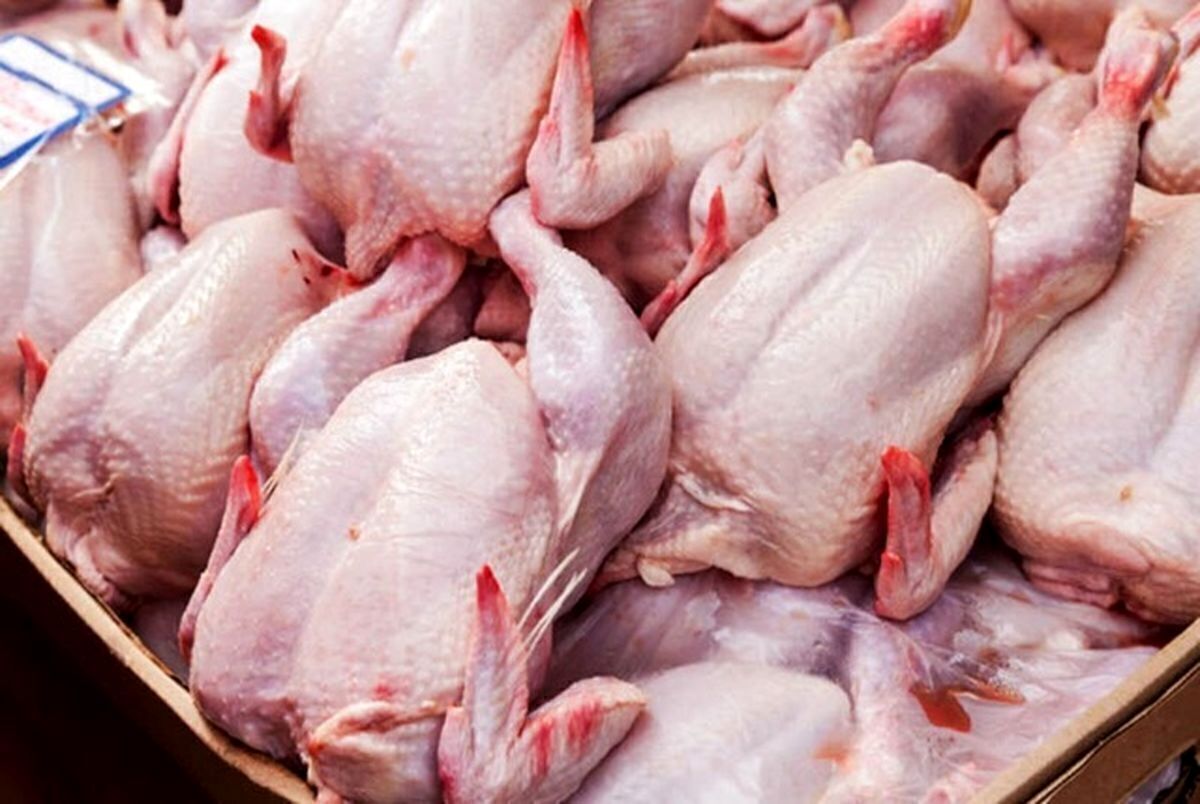 کاهش عرضه گوشت مرغ در آذر ماه