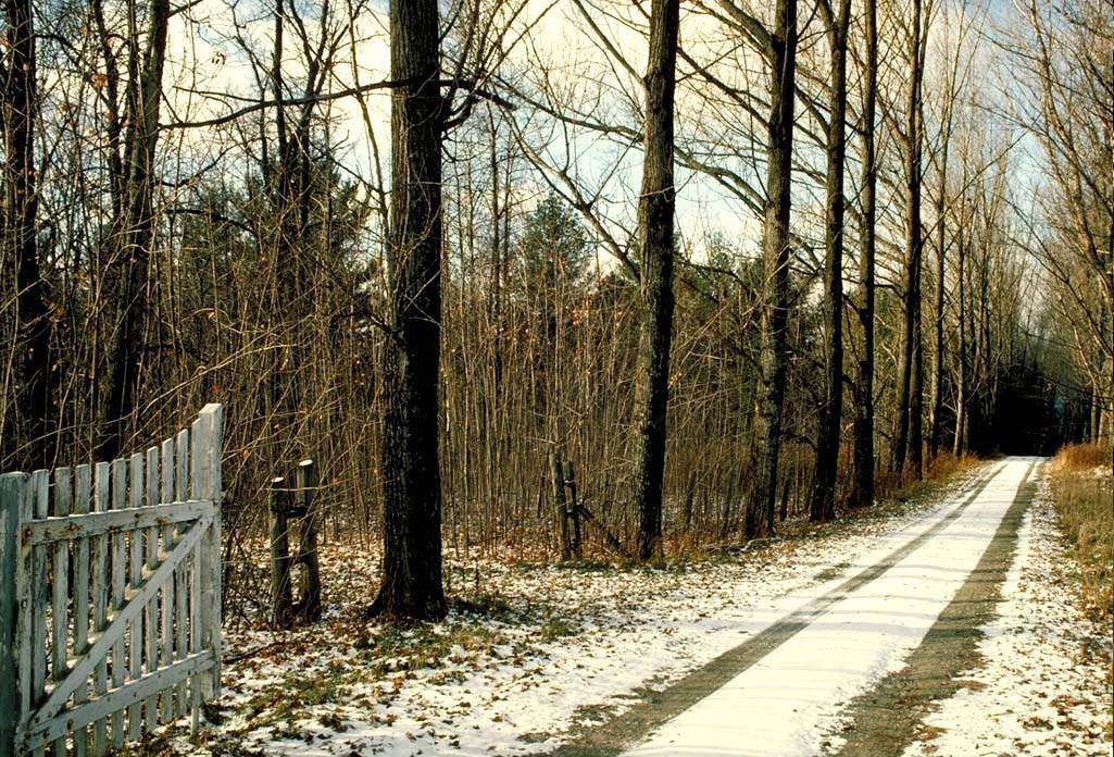 На дворе ноябрь. Поздняя осень в городе фото. Ноябрь длинная картинка. Зима ноябрь 2004. Стричвов ноябре.