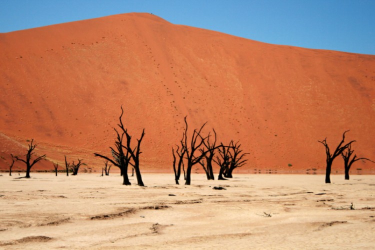 زیبا‌ترین بیابان‌ های جهان