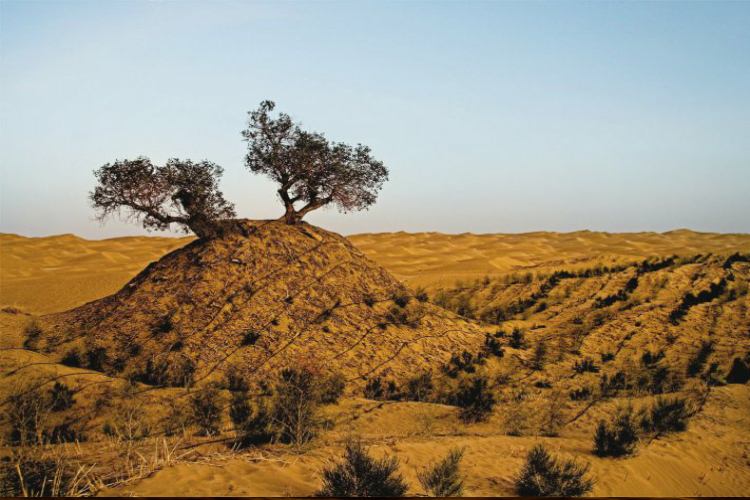 زیبا‌ترین بیابان‌ های جهان