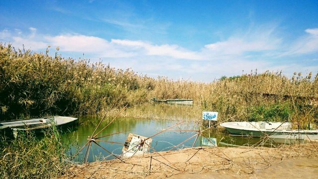 اینجا «ونیز»ِ ایران است + تصاویر