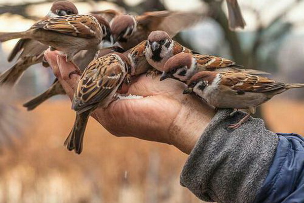 خدا دست از سر آدم سخاوتمند و خوش‌خلق برنمی‌دارند