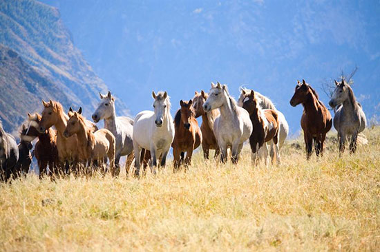 بهترین مکان های دیدنی برای سفر تابستانی