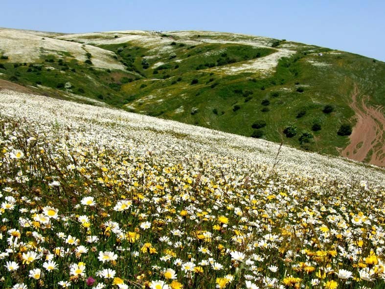 راهنمای سفر به اردبیل/ اماکن دیدنی و هتل‌ها + تصاویر