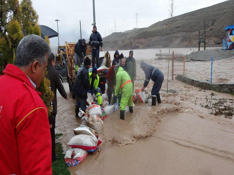 دسته گلی دیگر از شهرداری لواسان