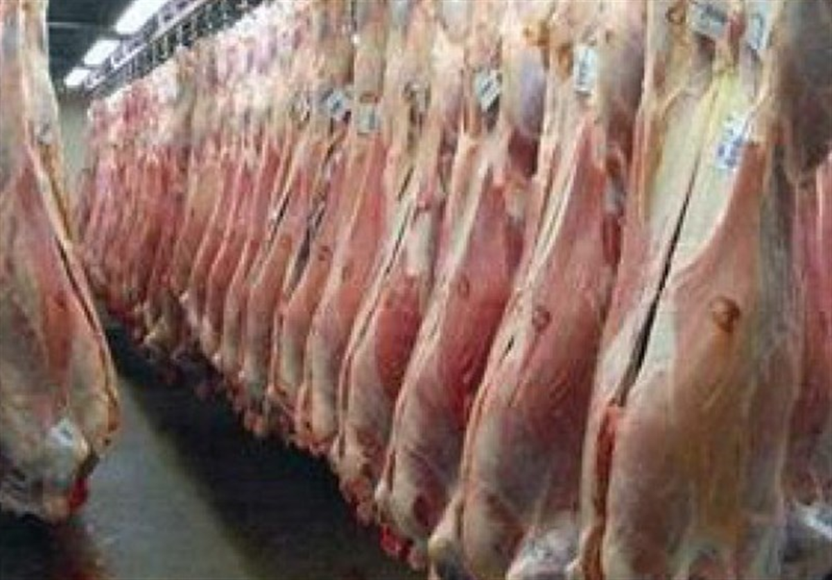 دستور واردات سریع ۱۰هزار تن گوشت گرم گوسفندی برای شب عید