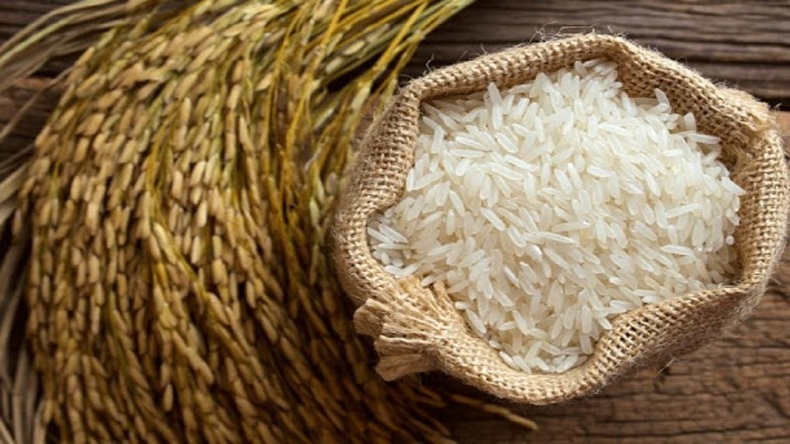 فاسد شدن برنج واقعیت ندارد