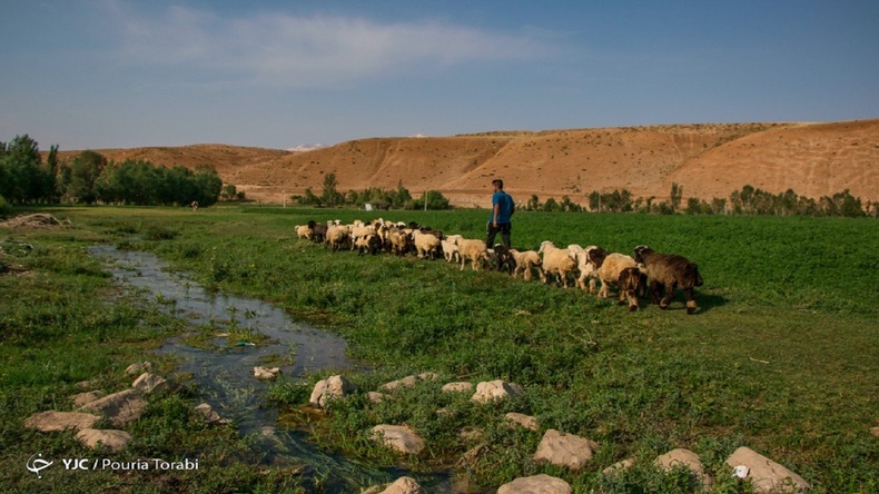 بدهی ۲۵۰۰ میلیارد تومانی تعاون روستایی به سیستم بانکی