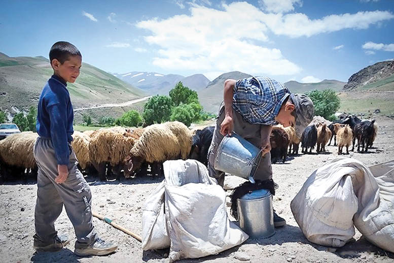 سفر به پایتخت پنیر ایران