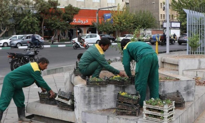 اقدام جدید رئیس موزه فرش، معروف به چلمن سیزدهم/ تبدیل هفت حوض حیاط به باغچه!