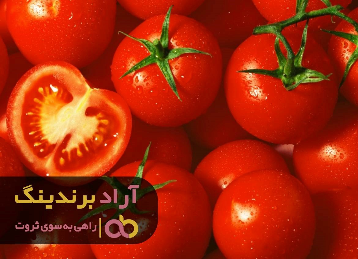 گوجه فرنگی نردبانی برای رسیدن به ثروتم بود