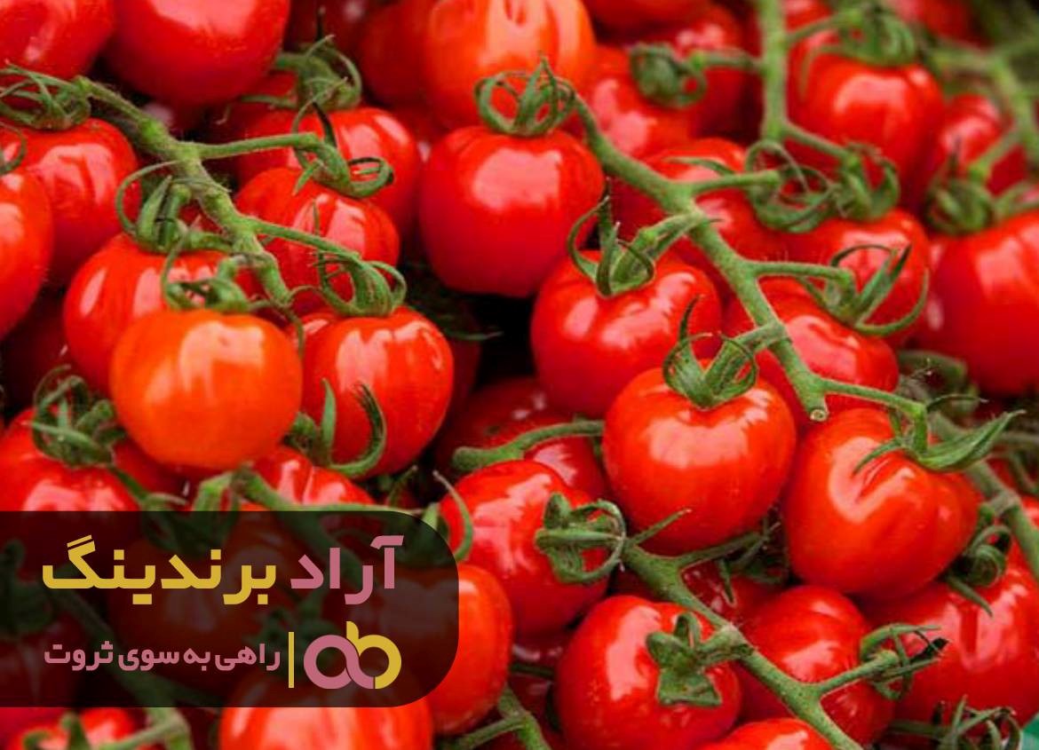 گوجه فرنگی نردبانی برای رسیدن به ثروتم بود