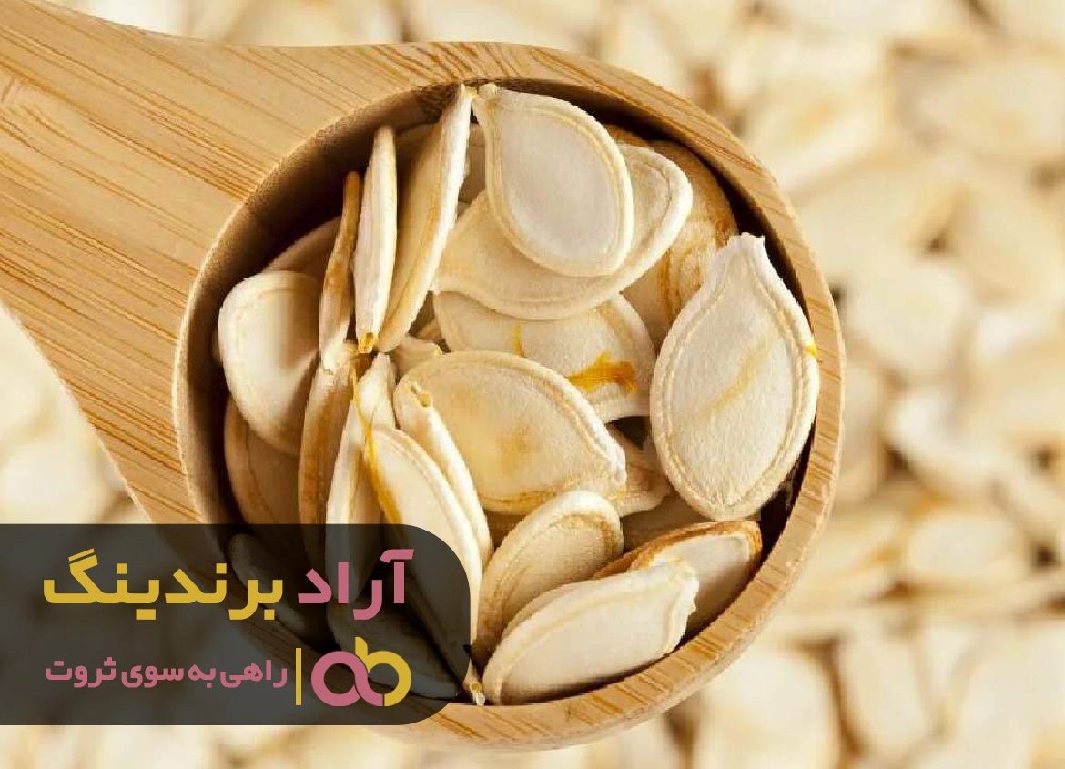 با قانون جذب ثروت را به خانه ‌ام دعوت کردم