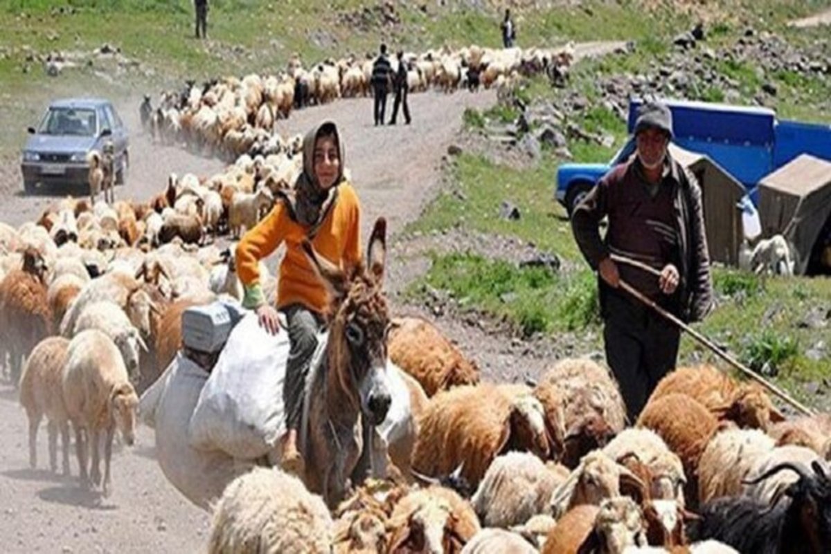 بیمه ۷۹۰۰ نفر از عشایر لرستان