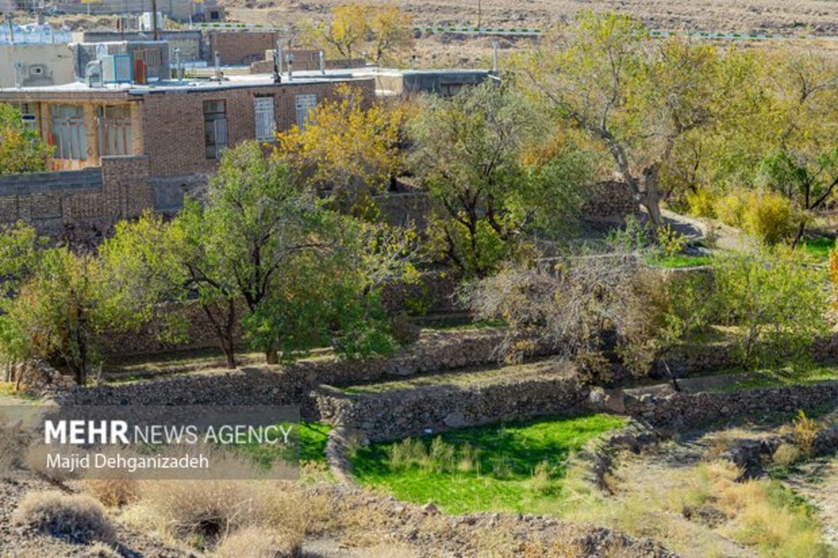 رشد ۱۲ درصدی صدور اسناد مالکیت اراضی کشاورزی