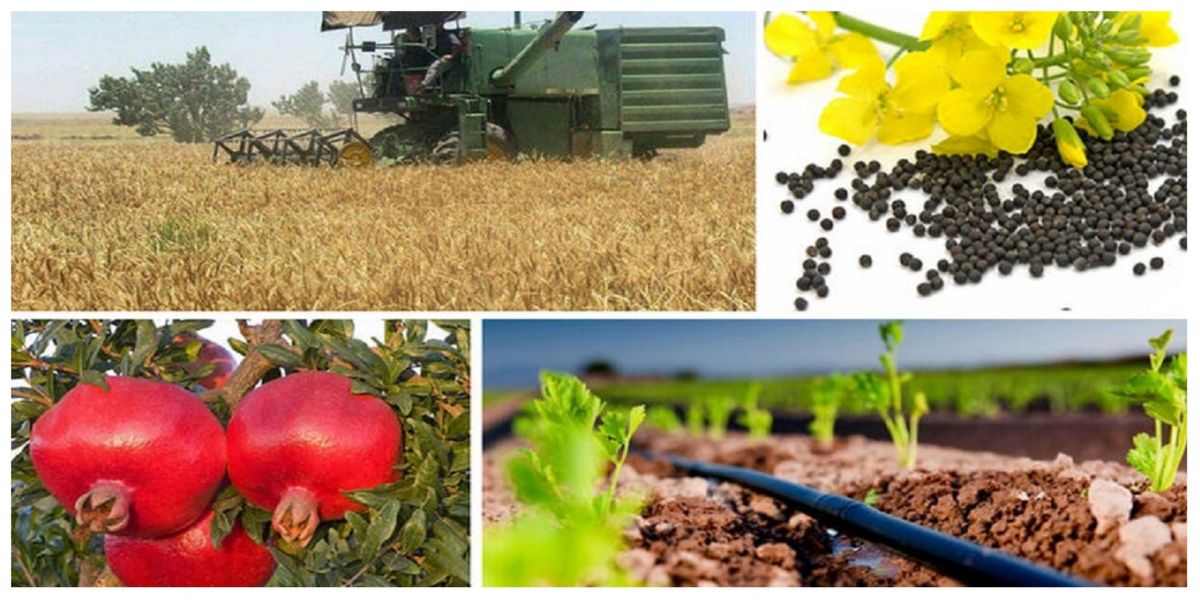 رشد ۲۶ درصدی صادرات محصولات کشاورزی ایران به قزاقستان