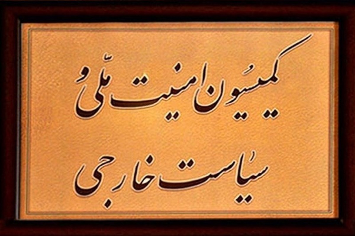 وحیدی درباره ساماندهی اتباع خارجی به مجلس گزارش می‌دهد