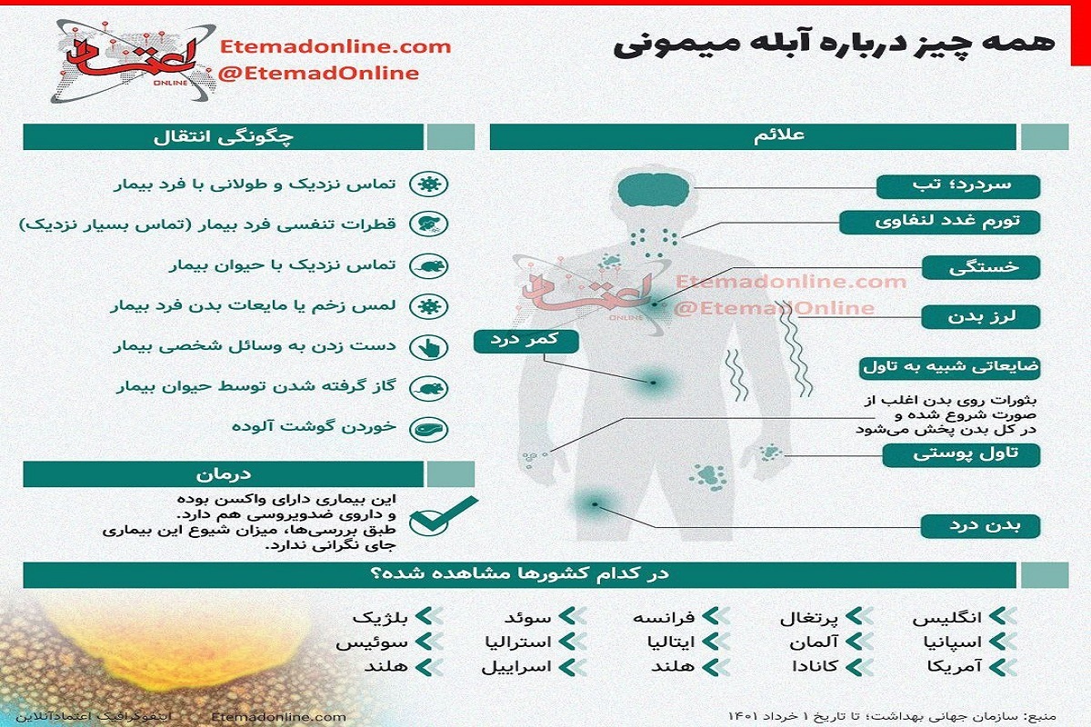 همه چیز درباره آبله میمونی/ اینفوگرافی