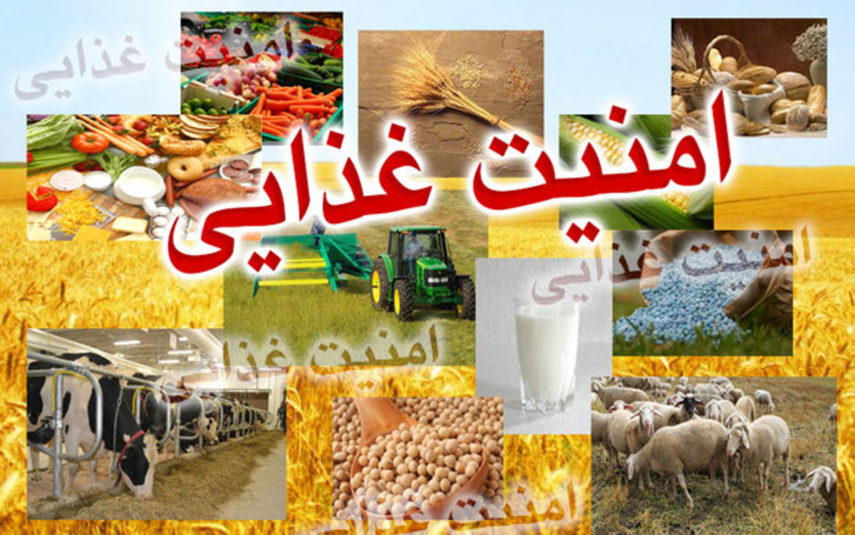 اجرای ۳۰ طرح پیشران برای تامین امنیت غذایی