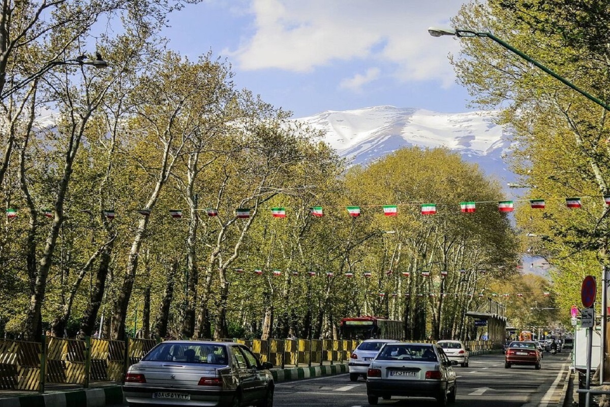 واکنش شهردار منطقه یک به خشکاندن درختان ولیعصر/ بالاترین جریمه در انتظار مالک/ فعلا پایان کار صادر نمی‌شود