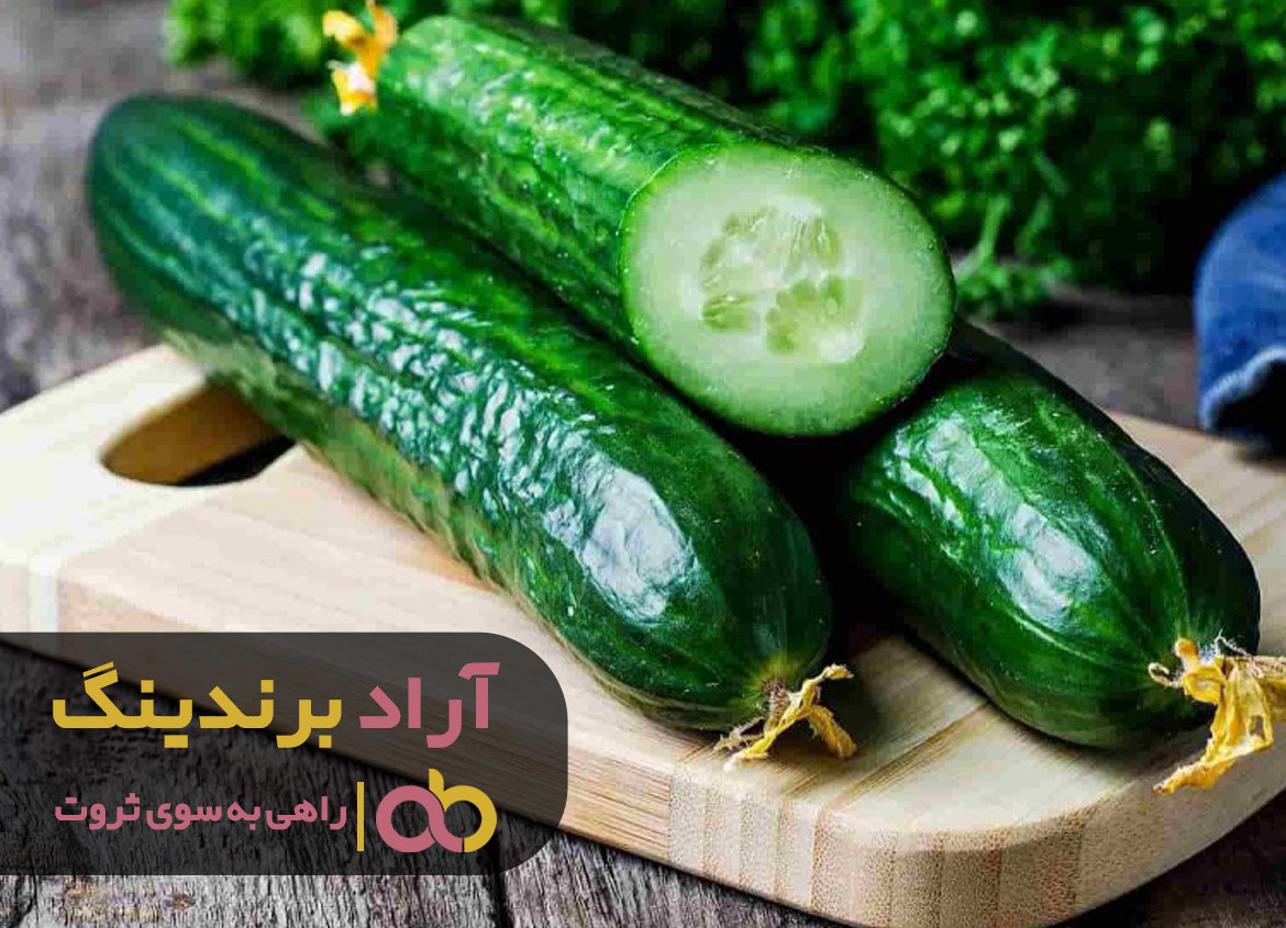 راه رسیدن به خواسته هایتان، عزم و اراده خودتان است