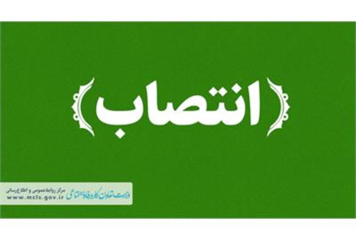 نائب‌رئیس ستاد نهضت ملی ارتقای فرهنگ کار منصوب شد