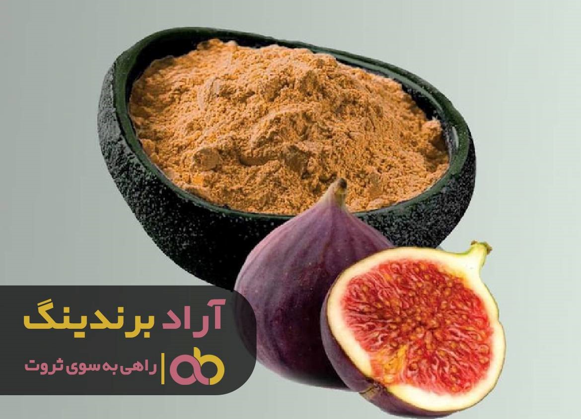 دریای موفقیت را تا جزیره ثروت شنا کردم