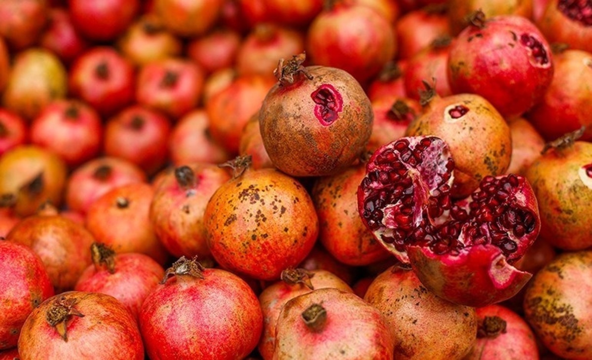 قیمت عمده فروشی میوه در آستانه شب یلدا؛ هندوانه ۵ تا ۱۲ هزار تومان