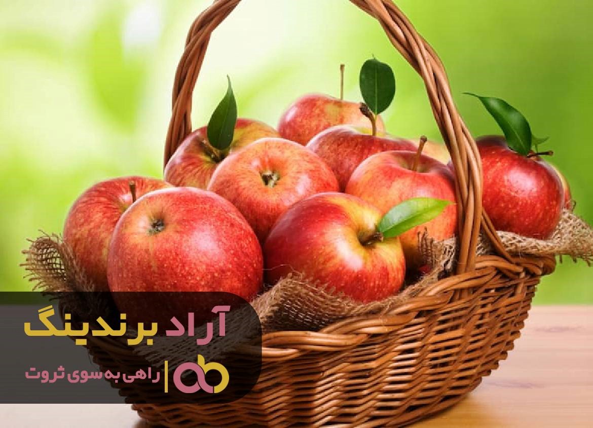 سیب ثروت را از درخت دنیا چیدم