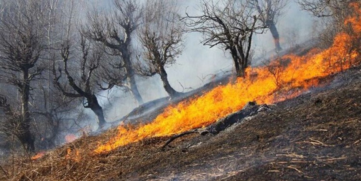 جنگل‌های مریوان دوباره آتش گرفت