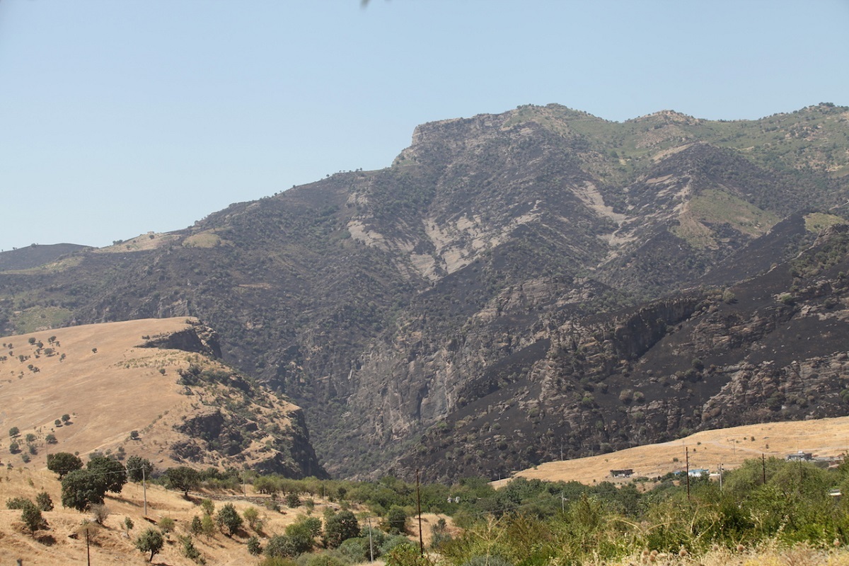 ترکیه مدعی کشته شدن ۷ عضو PKK در شمال عراق شد