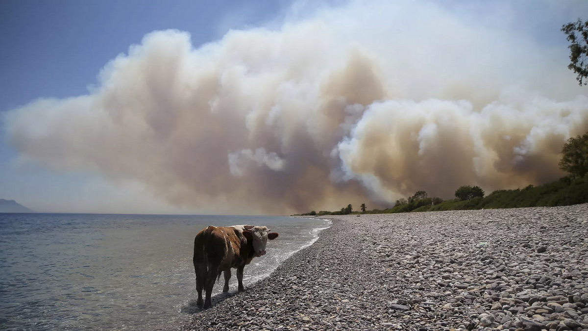 آتش‌سوزی گسترده در جنگل‌های غرب ترکیه
