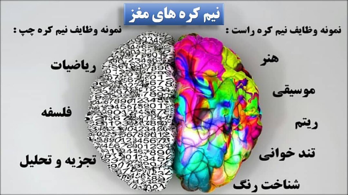 آشنایی با نیمکره های مغز !