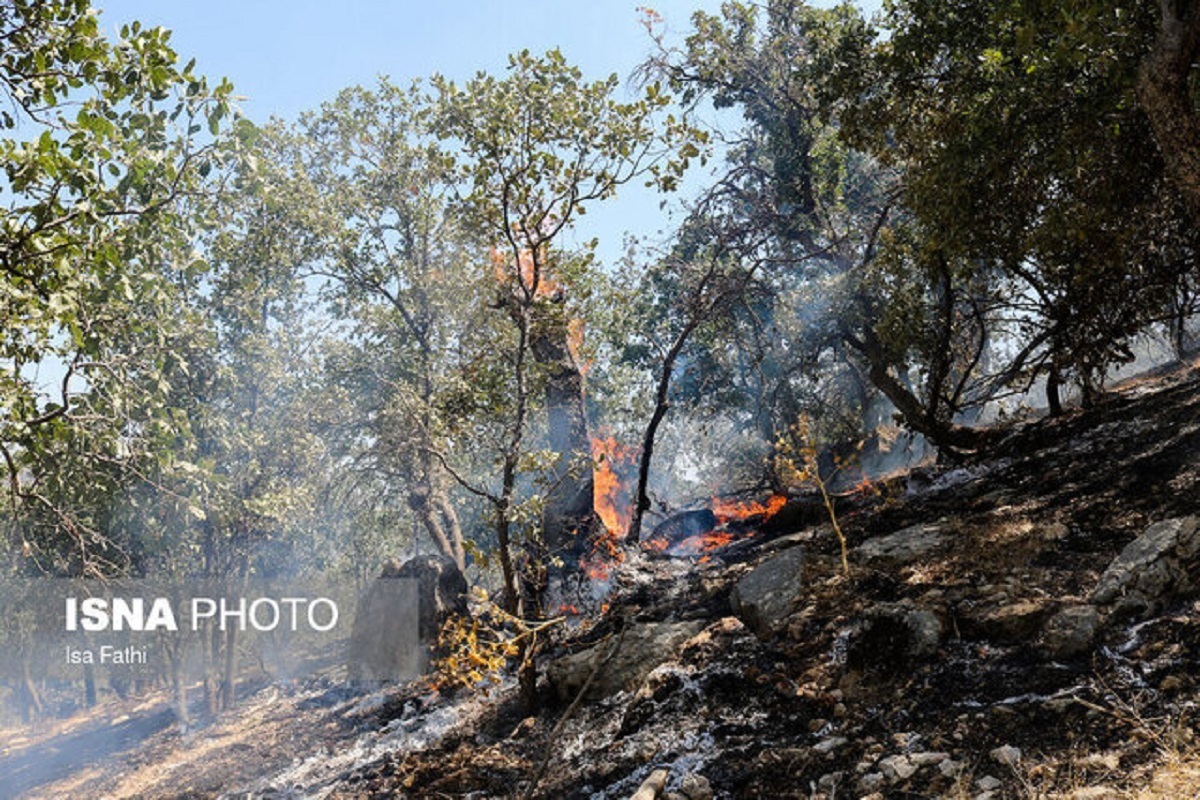 وقوع آتش سوزی در پارک ملی ساریگل