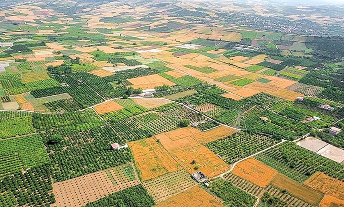 خطر نابودی بهترین اراضی کشاورزی کشور در برنامه هفتم توسعه