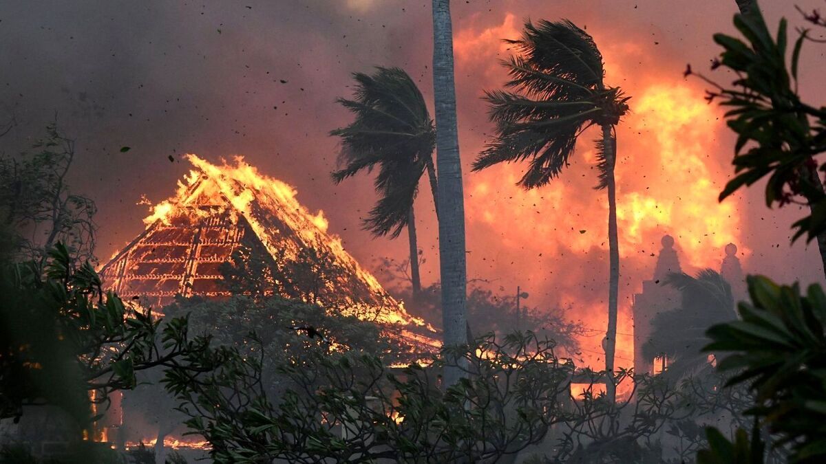۲۸۸ مفقودی پس از آتش‌سوزی‌های جنگل‌های هاوایی