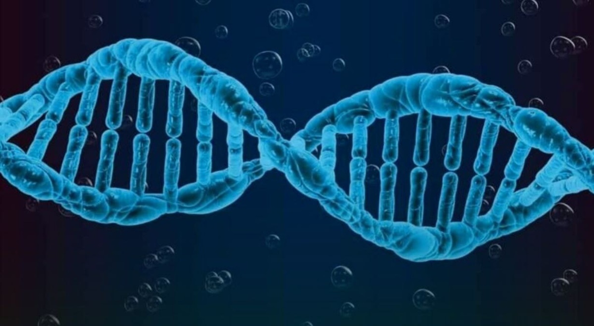 محققان تأثیر شخصیت افراد بر بیان ژن‌ها در بدن را نشان دادند