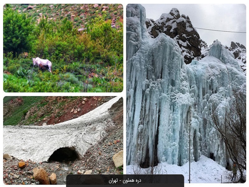 آبشار یخی هملون جاذبه زمستانی تهران