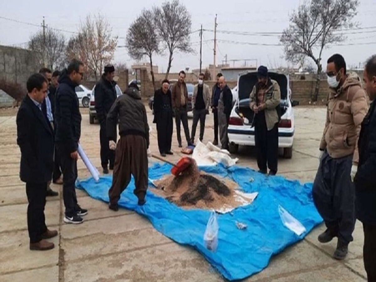 مبارزه همگانی با موش صحرایی در مزارع سقز