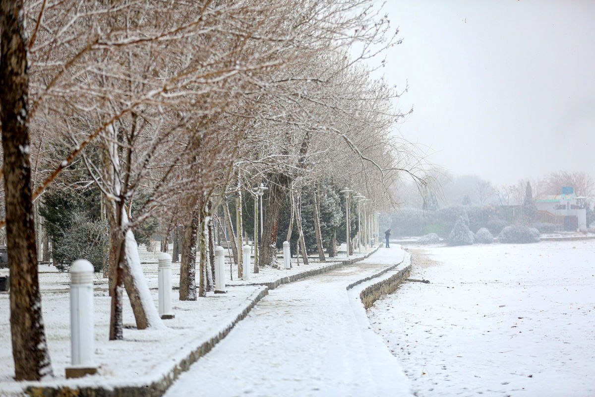 برف و باران و سرما در راه تهران