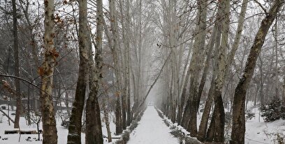 بارش برف در تهران