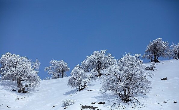 بارش برف در شهرستان الیگودرز - لرستان