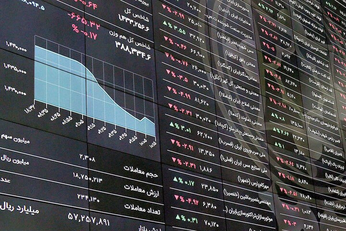 دولت اقدام موثری برای بورس انجام نداده است/ پیش فروش سکه تاثیر منفی برسودآوری بورس می گذارد