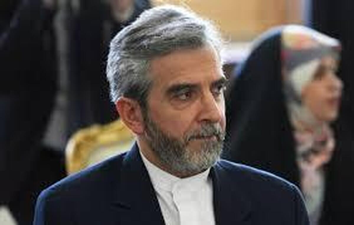 باقری کنی: ایران همواره پشت میز مذاکره حاضر بوده است