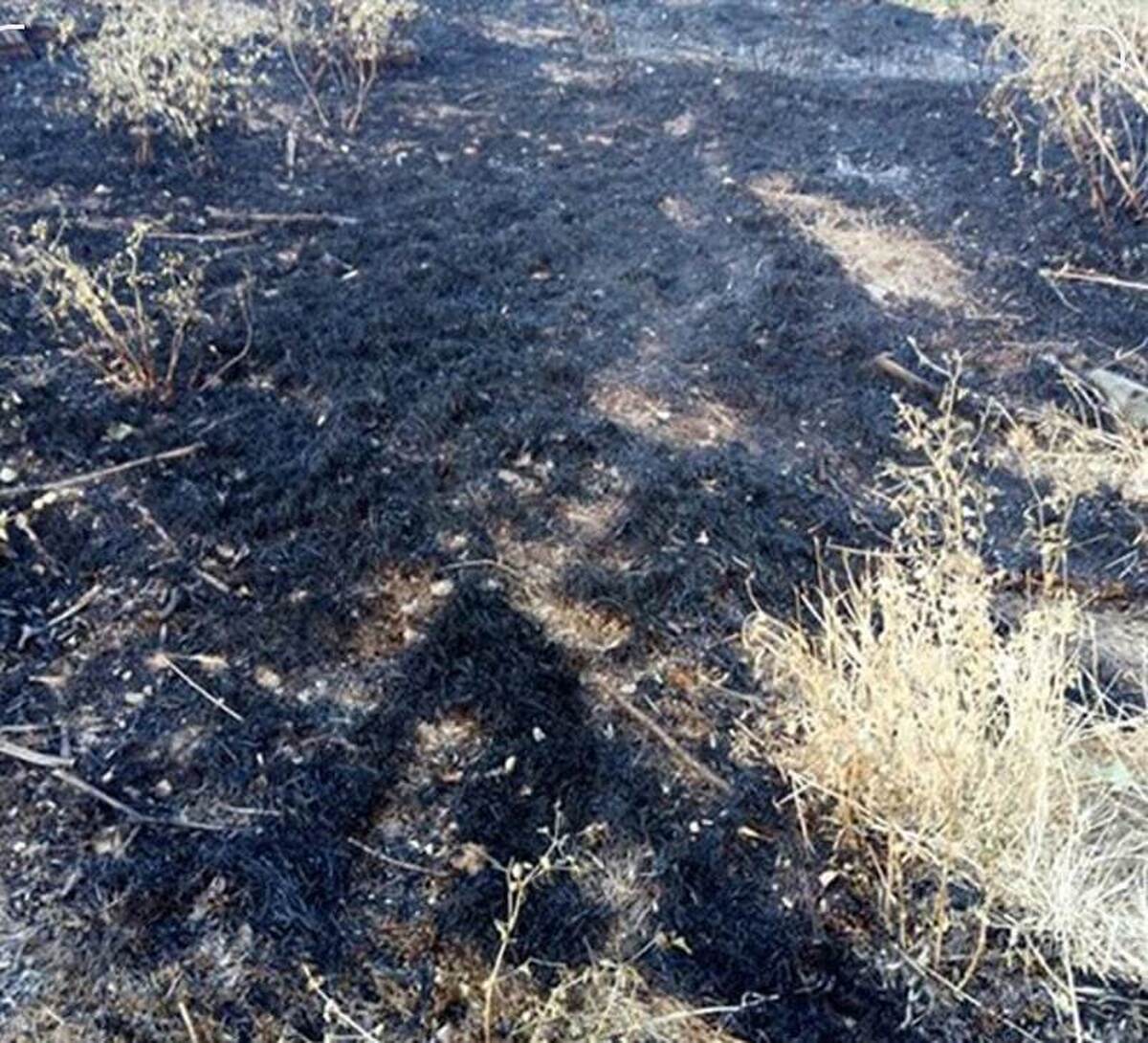 ۵۰ هکتار از اراضی پلدختر در آتش سوخت