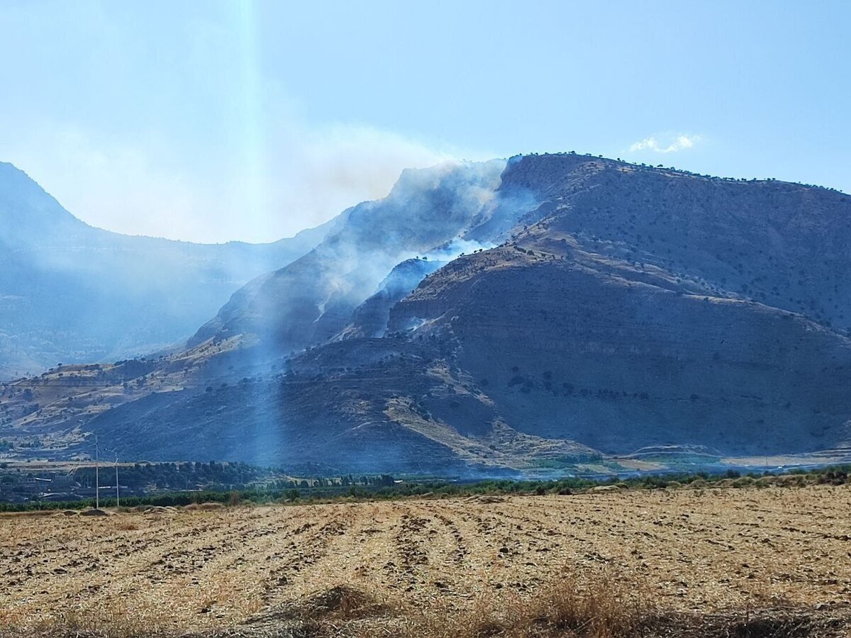 مهار بخشی از آتش سوزی در جنگل ها و مراتع پلدختر