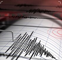 زلزله ۴.۹ ریشتری کرمان خسارتی نداشت