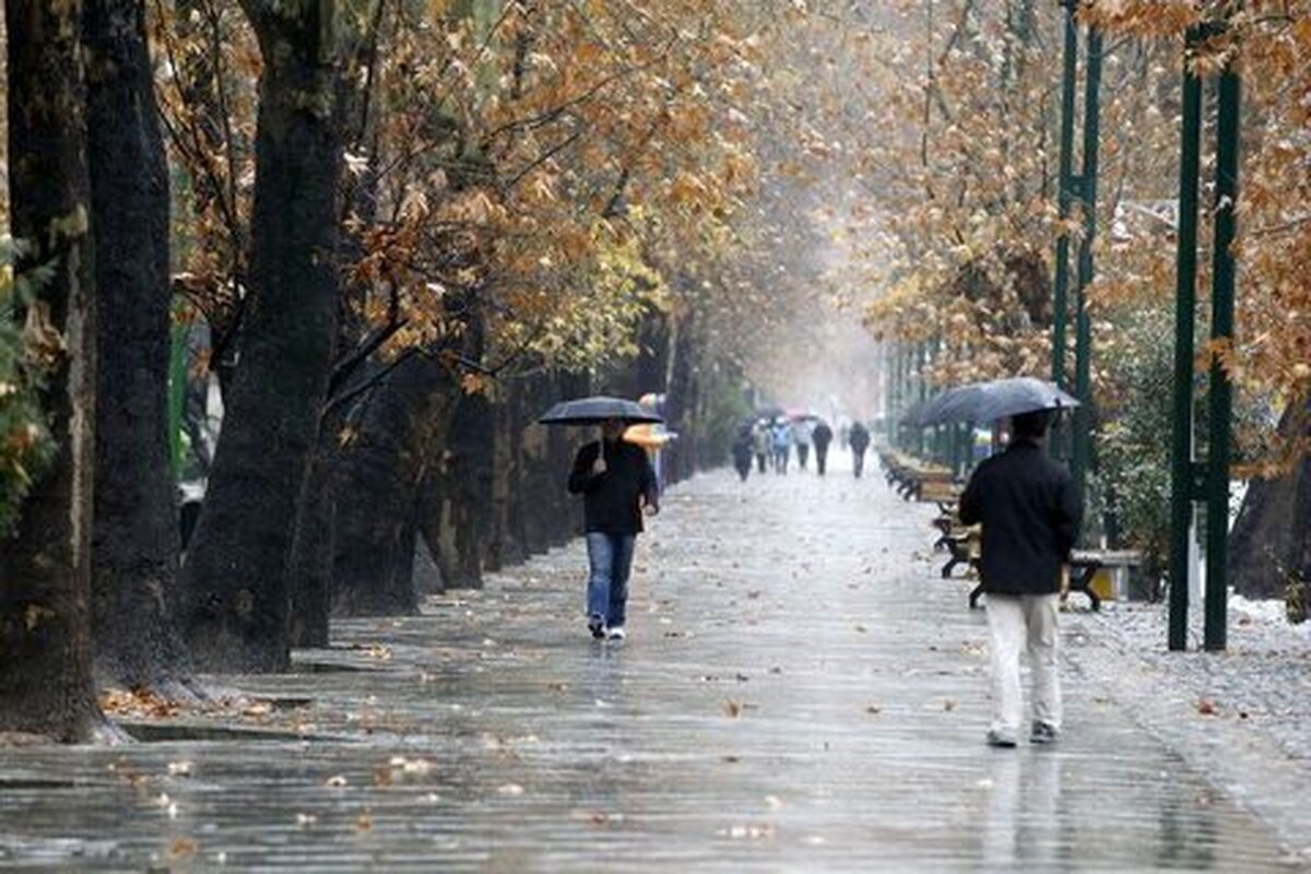 بارش باران در اکثر مناطق کشور